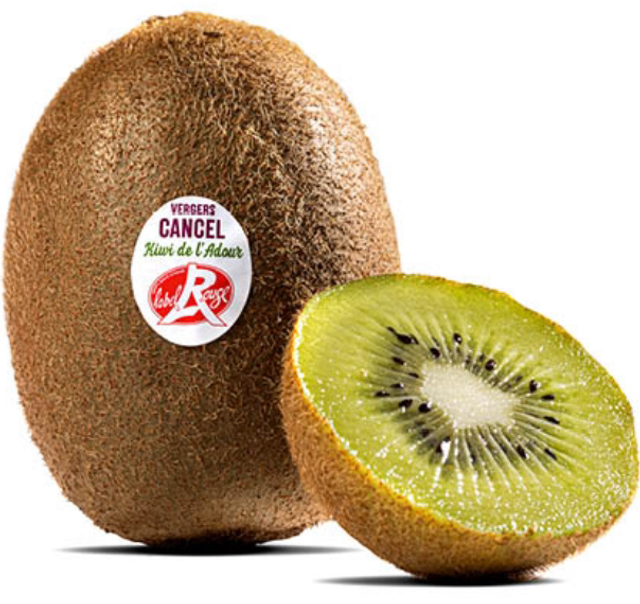 Kiwi vert