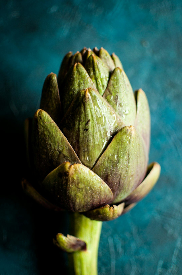 Jerusalem Artichoke