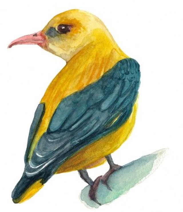 Carte postale Loriot