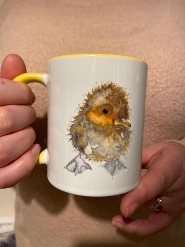 A Little Yellow Duck Watercolour Mug with Yellow Interior