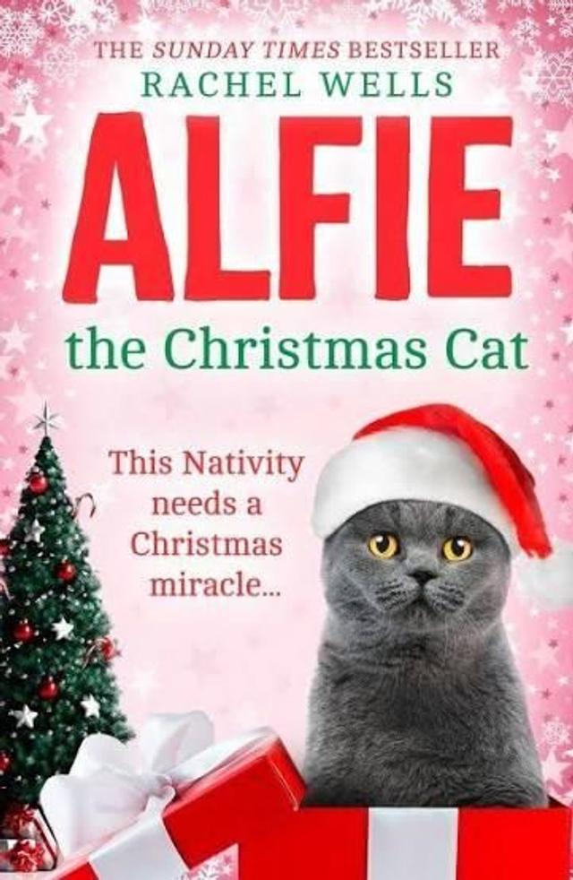 Alfie The Christmas Cat - Rachel Wells (Paperback)