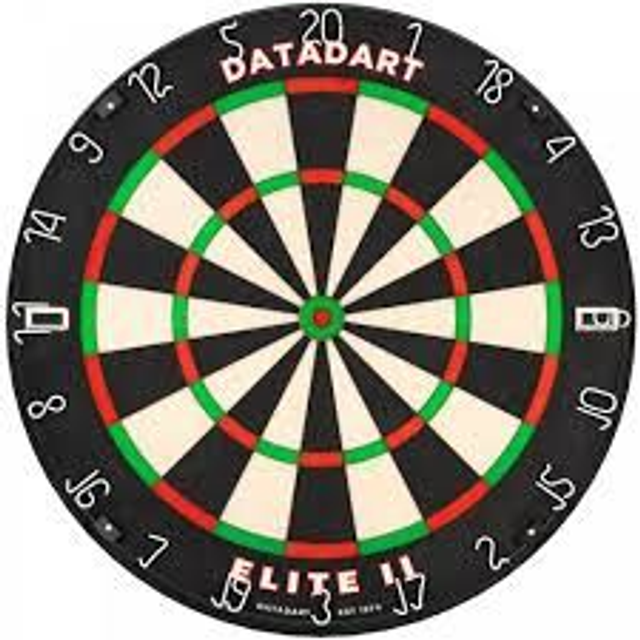 Datadart Elite II Pro Dartboard