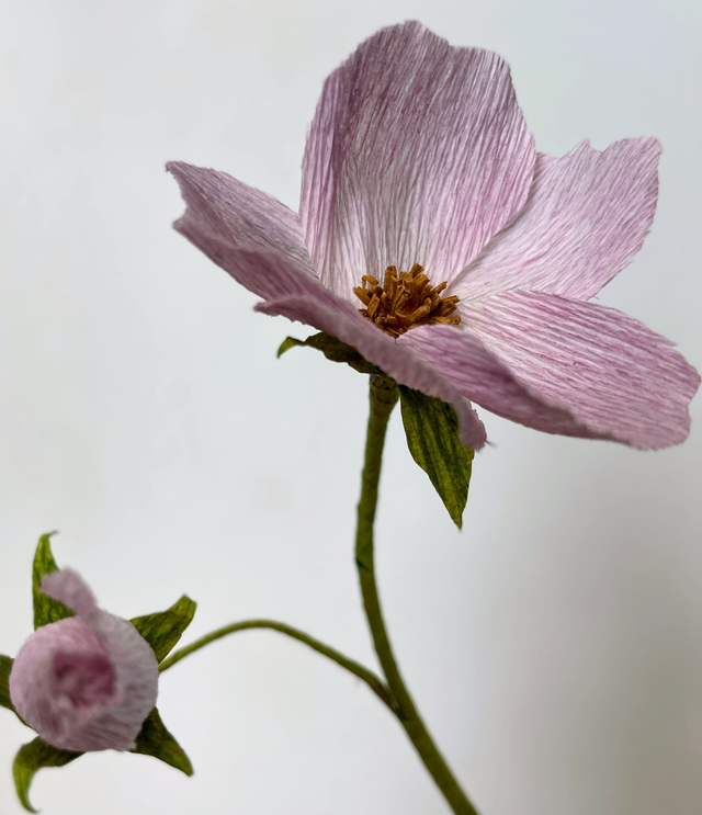 Eglantine "Eléor" avec son vase artisanal offert