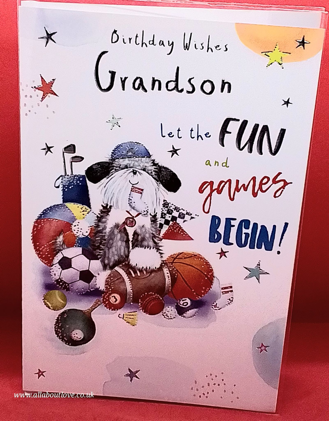 Grandson Birthday Card Cute Dog Design.