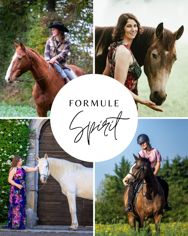 Formule Spirit