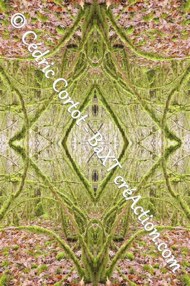 Impression sur alu dibond - Entre réel et irréel (ref 9156 R)