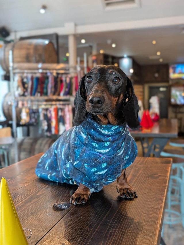 Alpine fleece turtleneck top