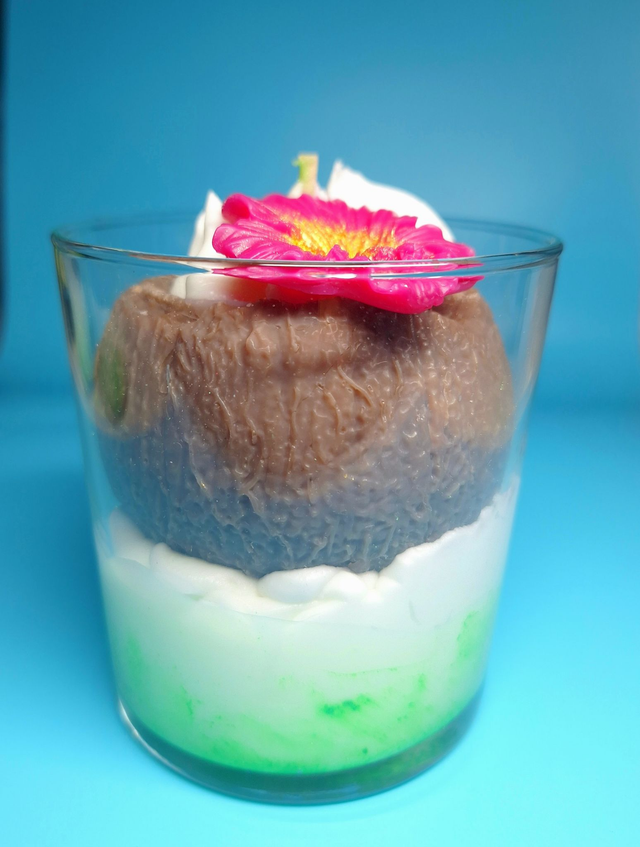 Noix de coco- bougie fait main en cire végétale