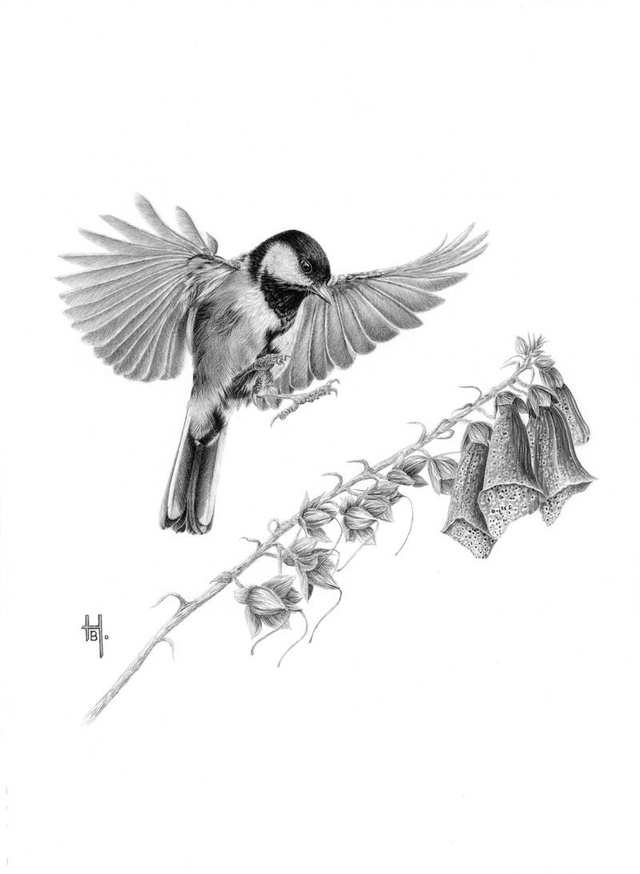 'Coming in to Land.'  Original framed graphite pencil drawing.