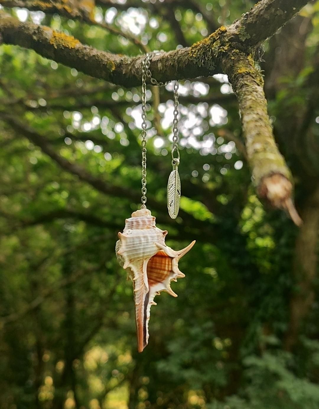 Pendule coquillage &quot;Murex&quot; #2