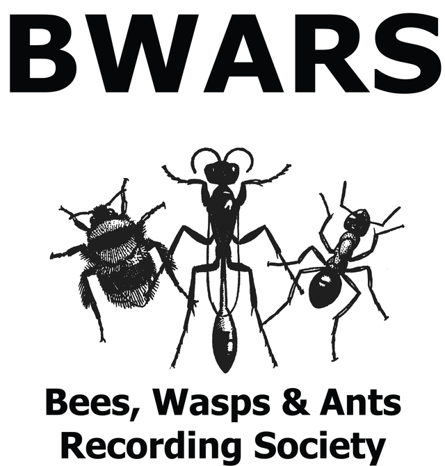 BWARS membership United Kingdom