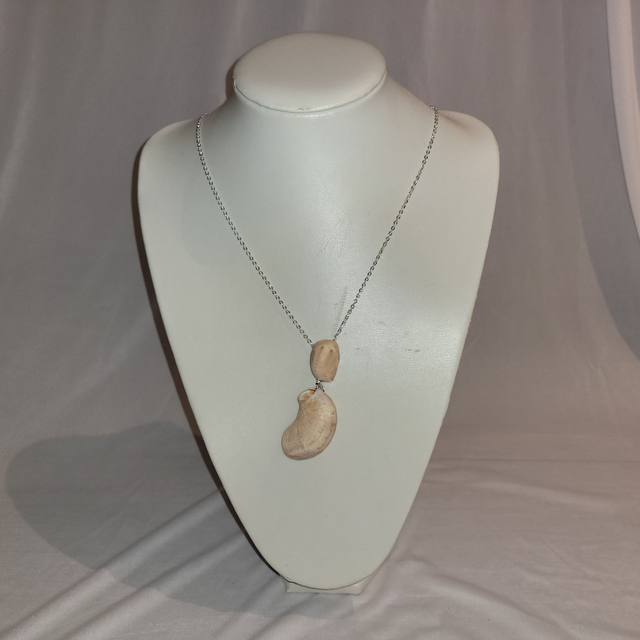 Double shell, long necklace