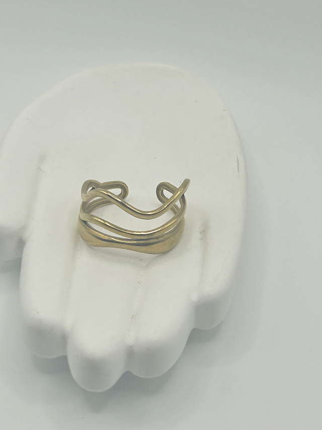 Stainless Steel Ring (SSR137J)
