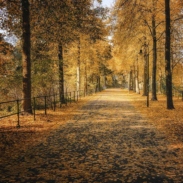 Promenade im Herbstlicht