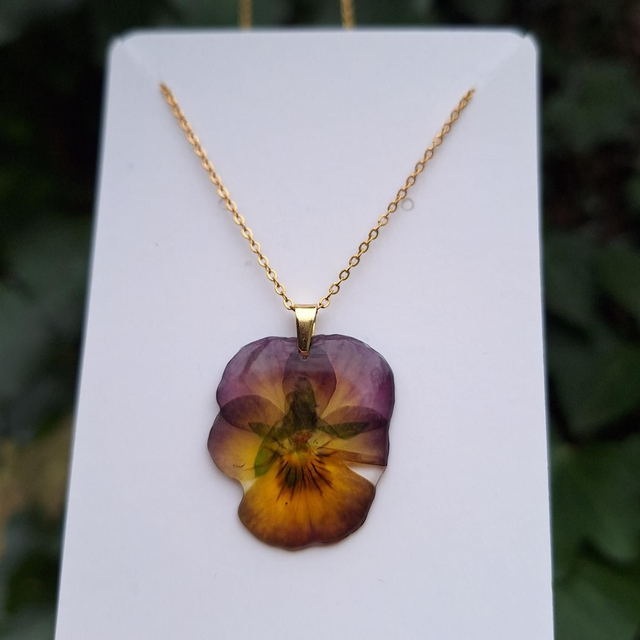 Collier petite Pensée • Viola cornuta • doré