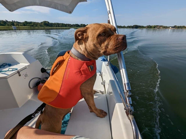 Float Coat (Schwimmweste)