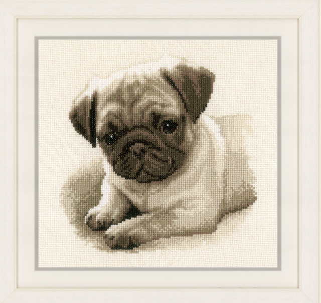 Counted Cross Stitch Kit: Pug Dog