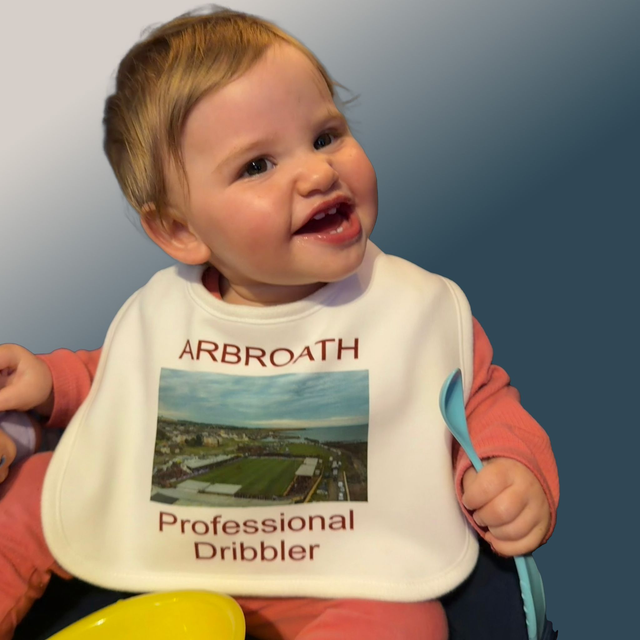Baby&#039;s Bib: Professional Dribbler