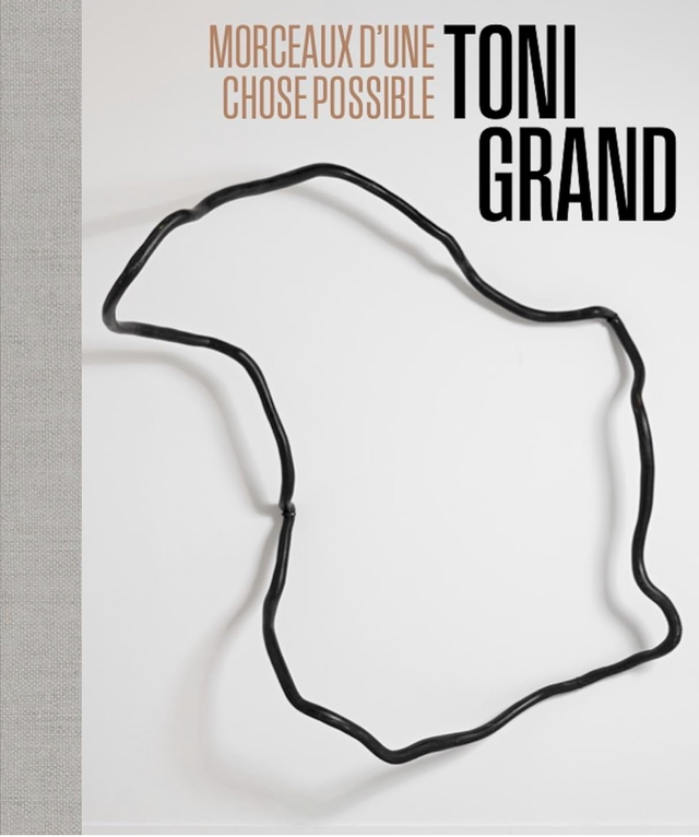 Toni Grand, morceaux d'une chose possible de Michel Hilaire