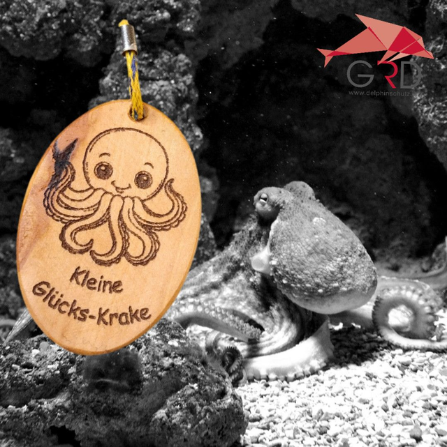 Kleine Glücks-Krake männlich (Schlüsselanhänger)   