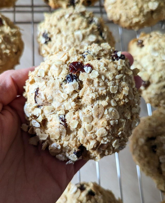 Sourdough cookies - the oaty-fruity one (vegan)