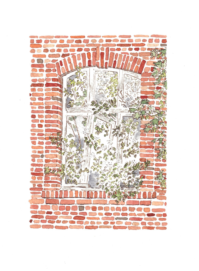 Aquarelle - La fenêtre abandonnée