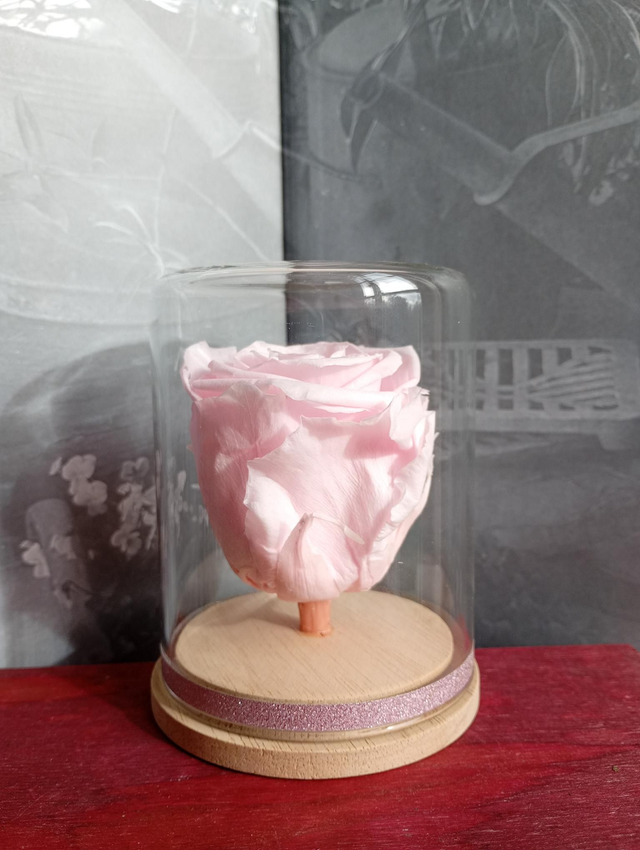 S06 unique rose rose