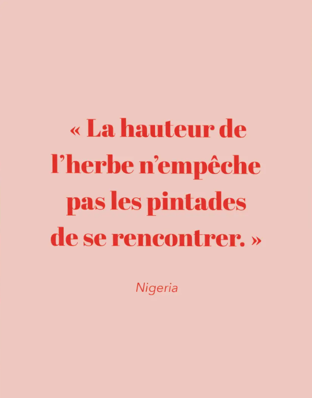 AFFICHE NIGERIA - A5