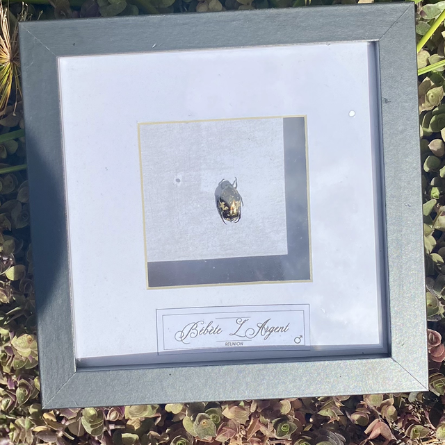 Cadre bébète l’argent 