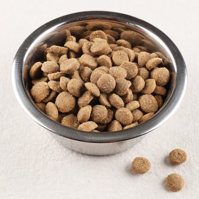 Croquette Dog Form 28/14