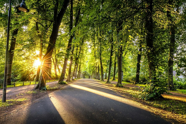 Promenade im Gegenlicht
