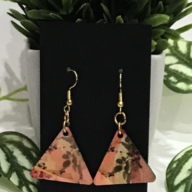 Wood Mix Coloured Dangling Earrings- MSDE60