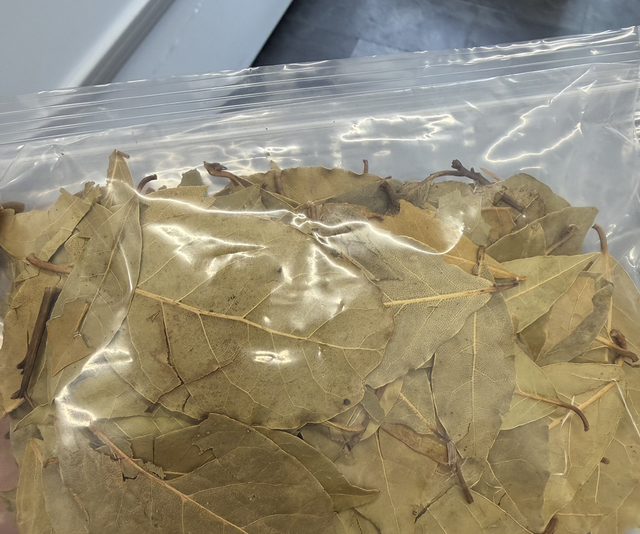 BAY LEAF