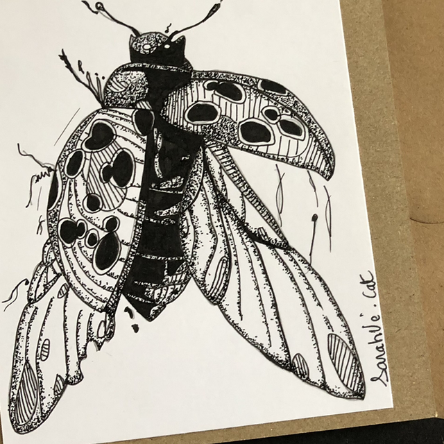 Carte - coccinelle - 13,5 x 13,5 cm - enveloppe kraft 