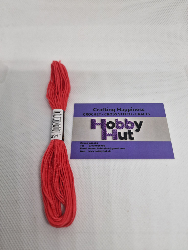 Embroidery Thread - 891