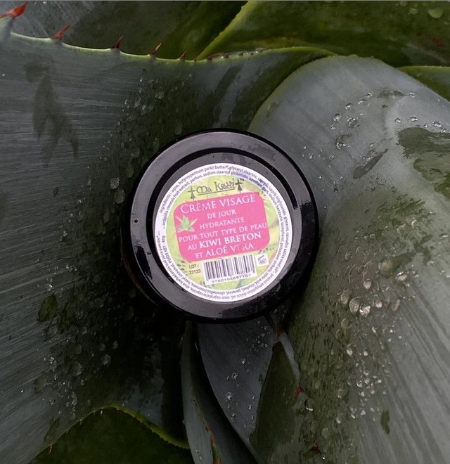 Crème visage de jour hydratante pour tous types de peaux au Kiwi breton et gel d'Aloe vera