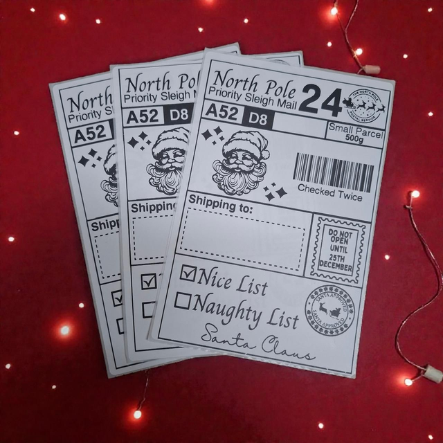 Pack of 10 'North Pole Priority Sleigh Mail' Labels