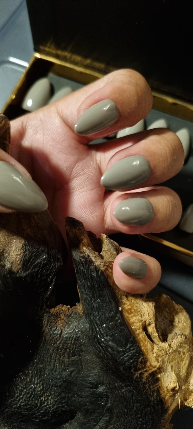 Mistero little Amande Xs