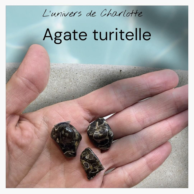 Pierre roulée "Agate turitelle"