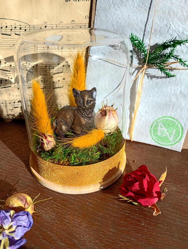 Mamie06 chaton jaune 