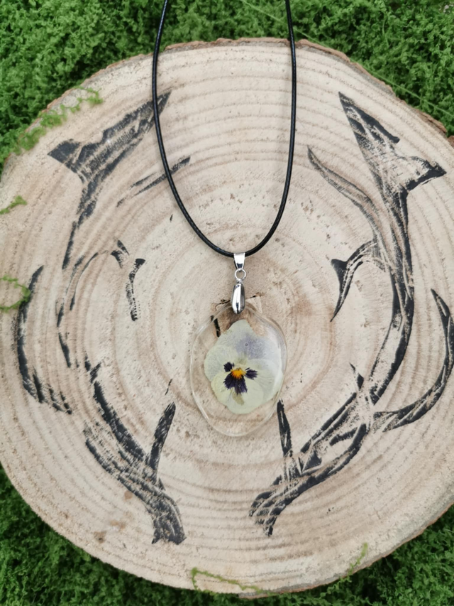 Pensée blanche &amp; violette