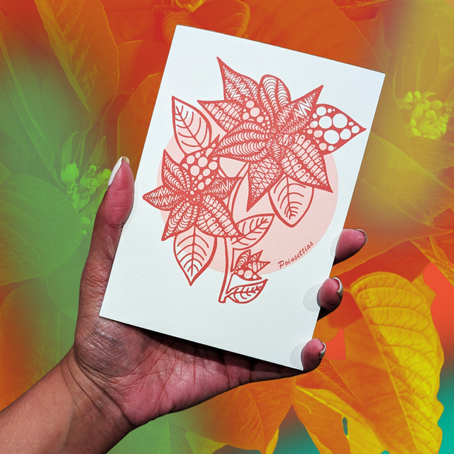 December / Poinsettia - Flower of the month series