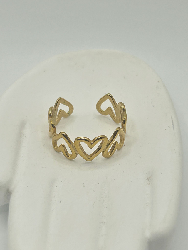 Stainless Steel Ring (SSR17J)