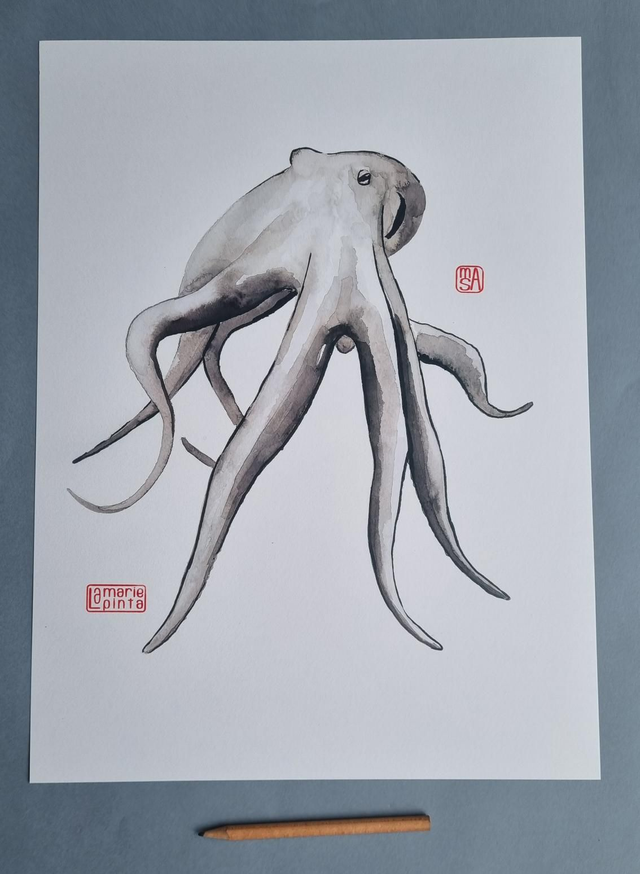 Poulpe bd à partir de 4€