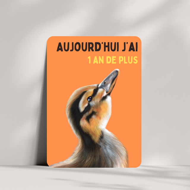 Carte de vœux - &quot;1 an de plus&quot;