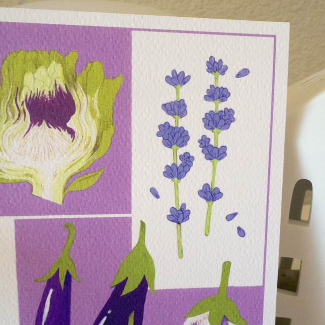 Illustrations du calendrier 2024