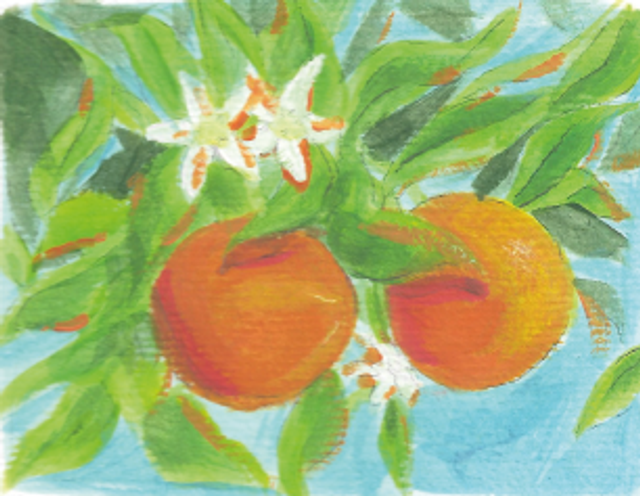 Mini Print Oranges