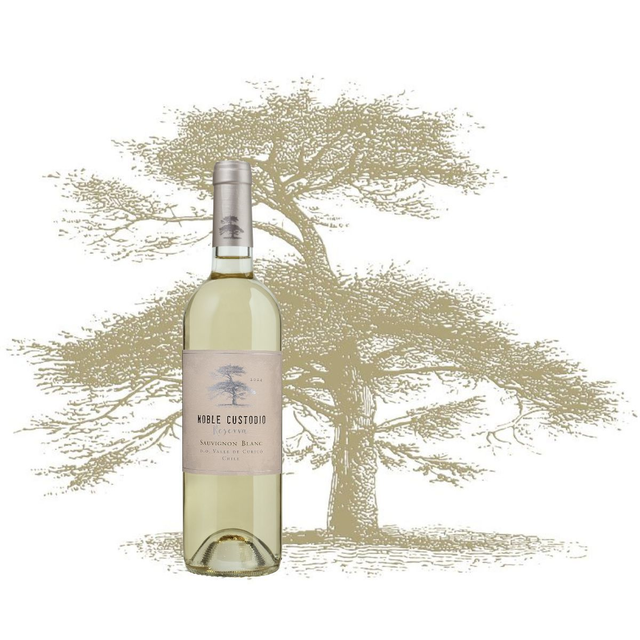 Caja Sauvignon Blanc - 6 UN