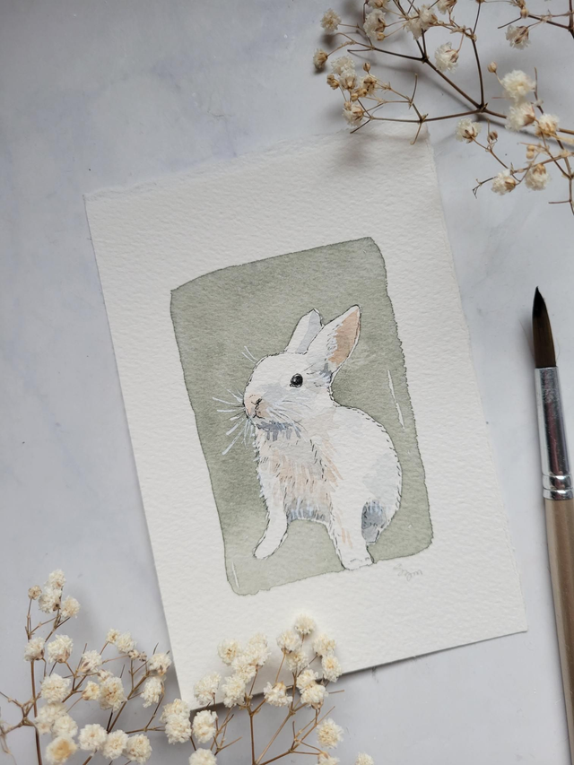 Lapin blanc