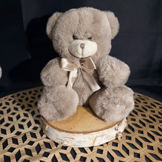 Ourson en peluche 